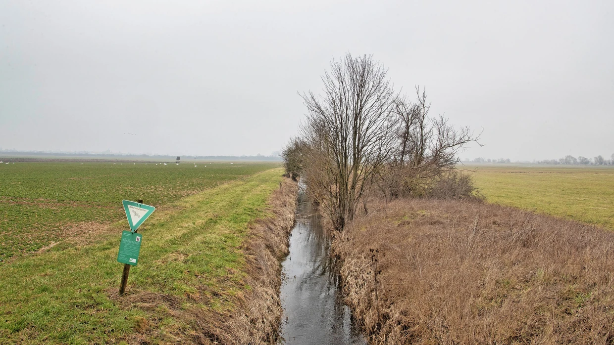 Verlust an Artenvielfalt auf Flachland-Mhwiesen | FAZ