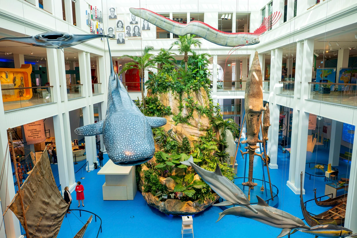 Vergangenheit lässt sich begrünen: Blick in die neue Dauerausstellung des Bremer Überseemuseums
