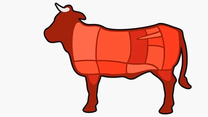 Fleisch ist kein Gemüse: Die Zubereitung tierischer Produkte steht in der Kochausbildung im Mittelpunkt.