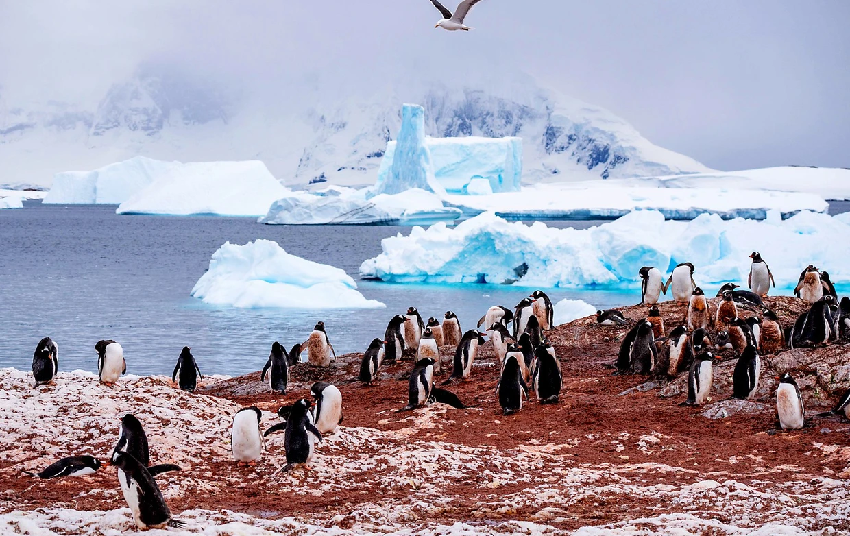 Je später in der Saison, desto mehr Hinterlassenschaften pflastern die Wege.