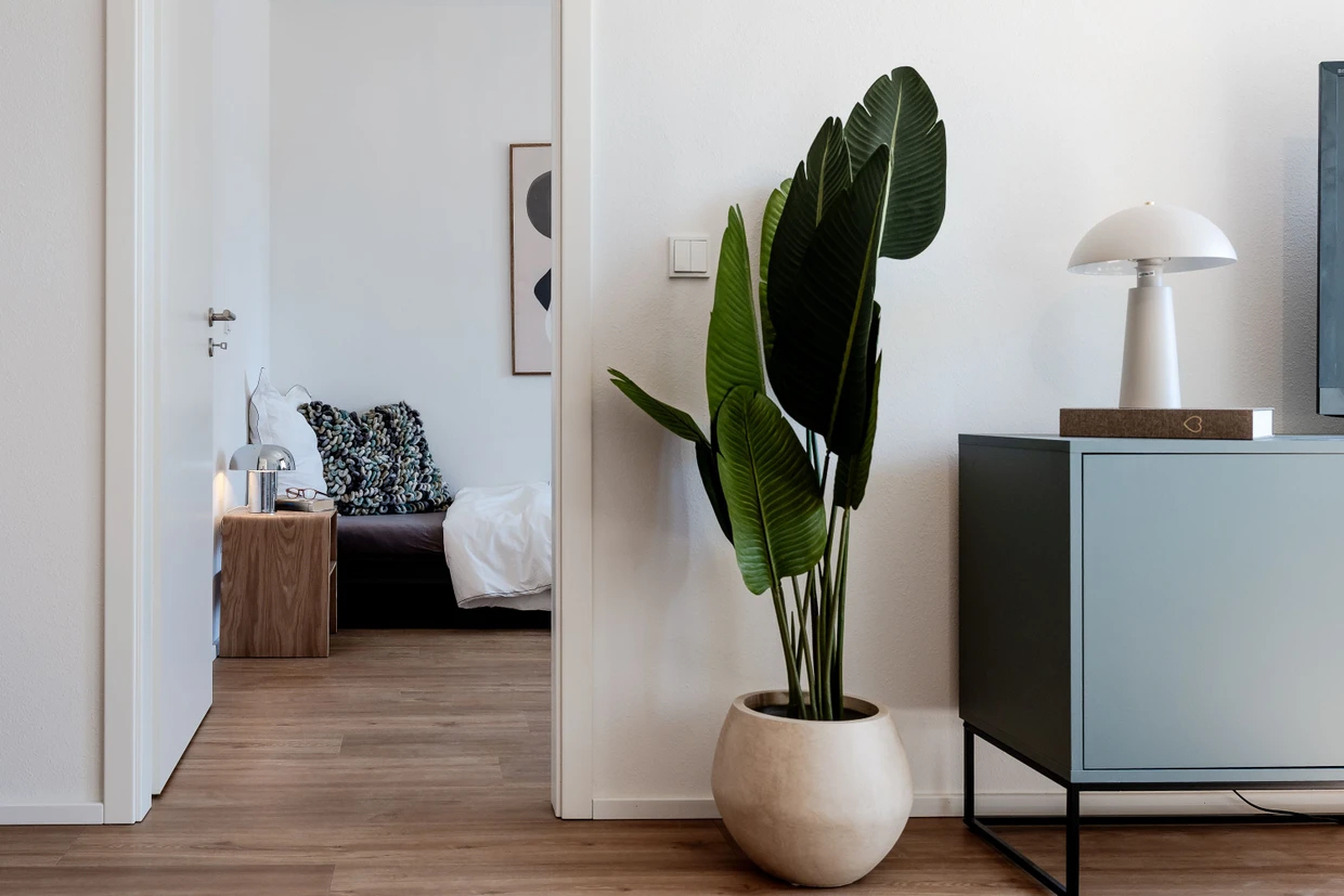 Breite Türen: Nur wenige Deutsche ab 45 leben bislang in barrierearmen Wohnungen.