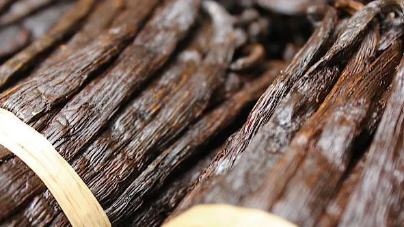 Für die Aromabildung ist die Fermentation entscheidend: Die Samenkapseln schrumpfen, werden dunkel, und Enzyme setzen nach und nach die Aromen frei, besonders das Vanillin.