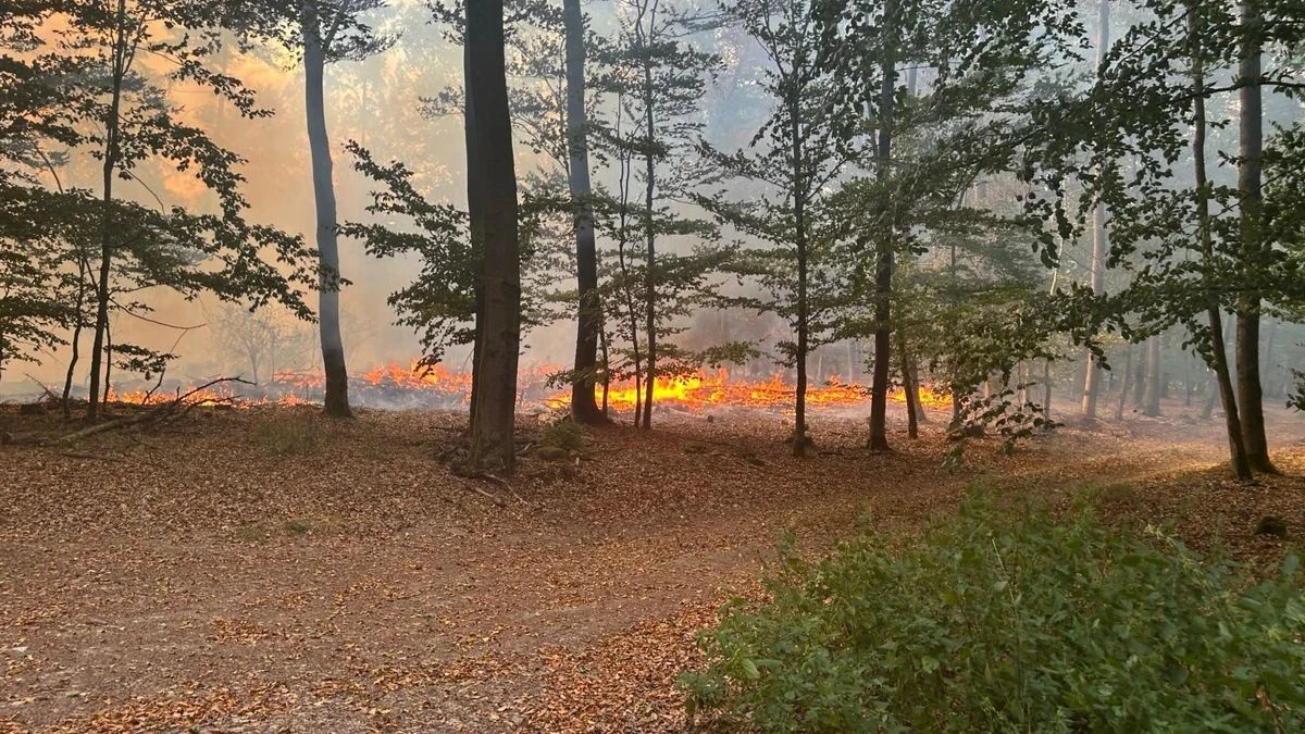 Spotfeuer nennen die Feuerwehrleute diese kleineren Brandstellen, die durch Funkenflug entzündet werden.
