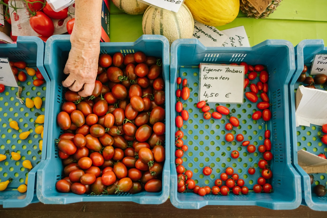 Anfassen verboten: Am Marktstand darf nur Heidi Jung die Früchte berühren.