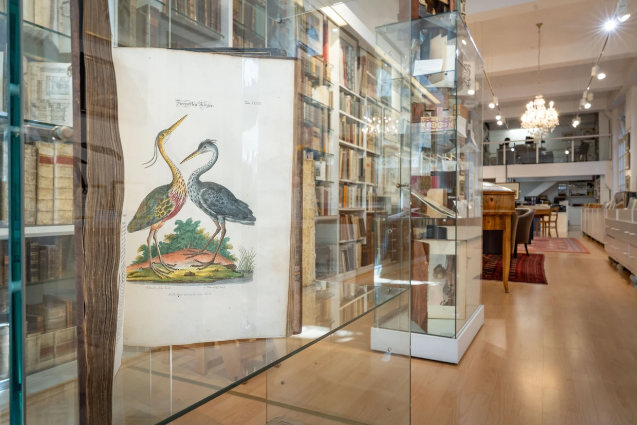 Im „Tresor am Römer“ sind alte und seltene Bücher zu finden: hier ein handkolorierter Kupferstich aus dem 18. Jahrhundert