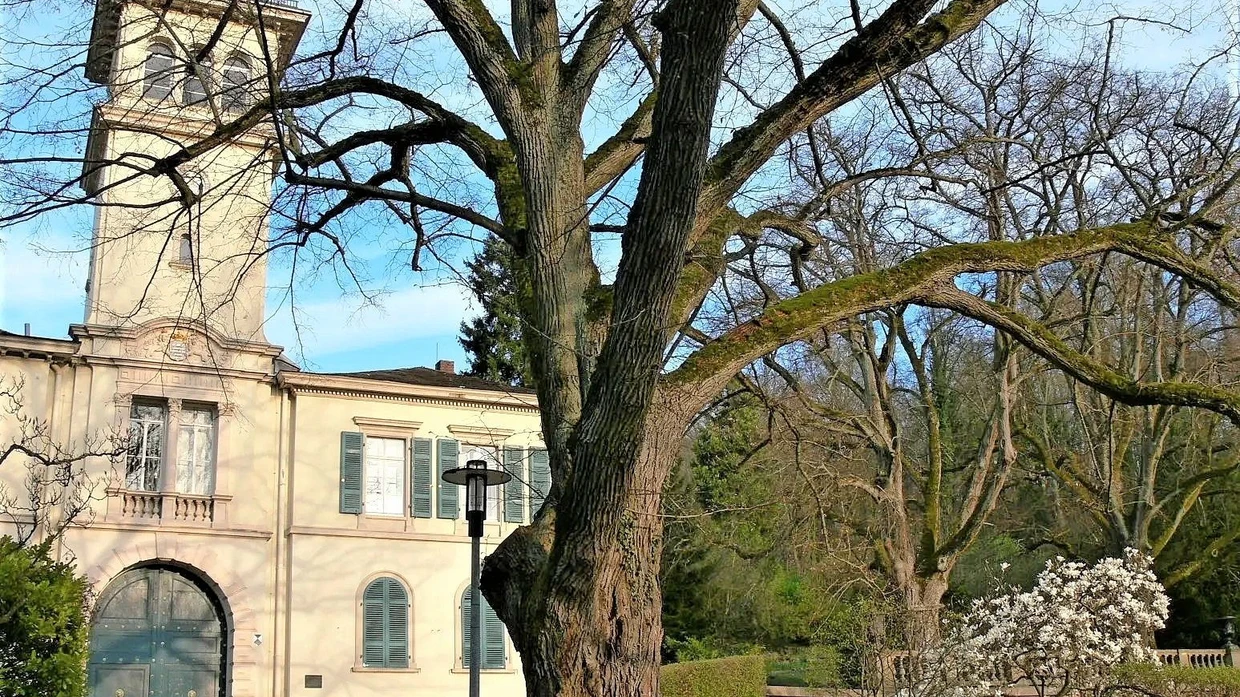 Wandertipp Bergstrae bei Heidelberg: Schloss Alsbach bis Heiligenberg | FAZ