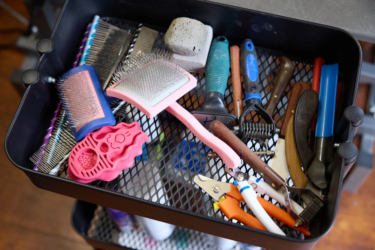In einem Wagen liegen verschiedene Bürsten, Kämme, Schneidewerkzeuge und Spielzeuge für die Hunde im Hundesalon.