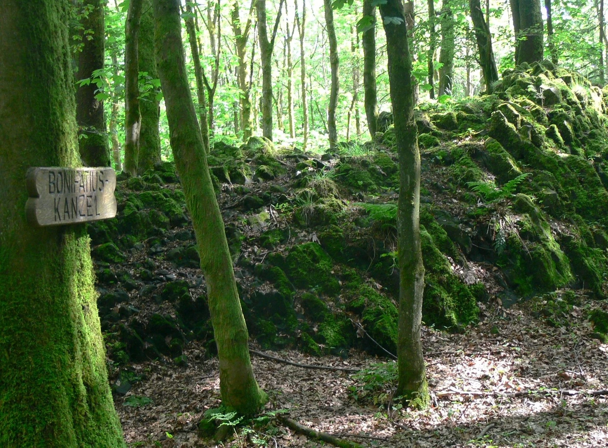 Einsichten in die Geologie des größten Vulkangebietes Europas: der Basaltzug der Bonifatiuskanzel.