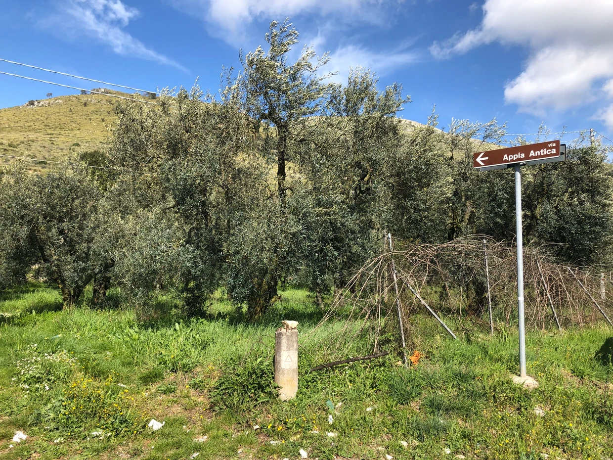  Arnold Esch widmete der Via Appia nach seinem Buch „Römische Straßen in ihrer Landschaft. Das Nachleben antiker Straßen um Rom. Mit Hinweisen zur Begehung im Gelände“ von 1997 etliche weitere Studien. Hannes Hintermeier