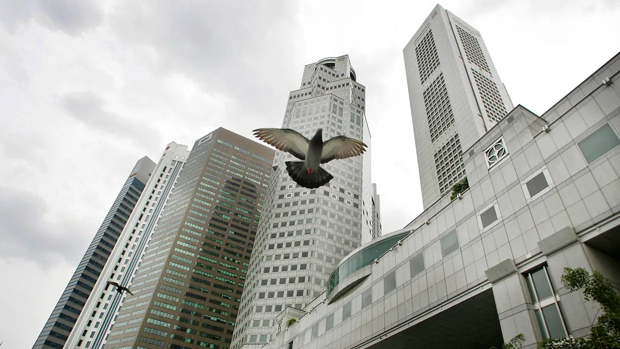 Vogelflug in Singapur