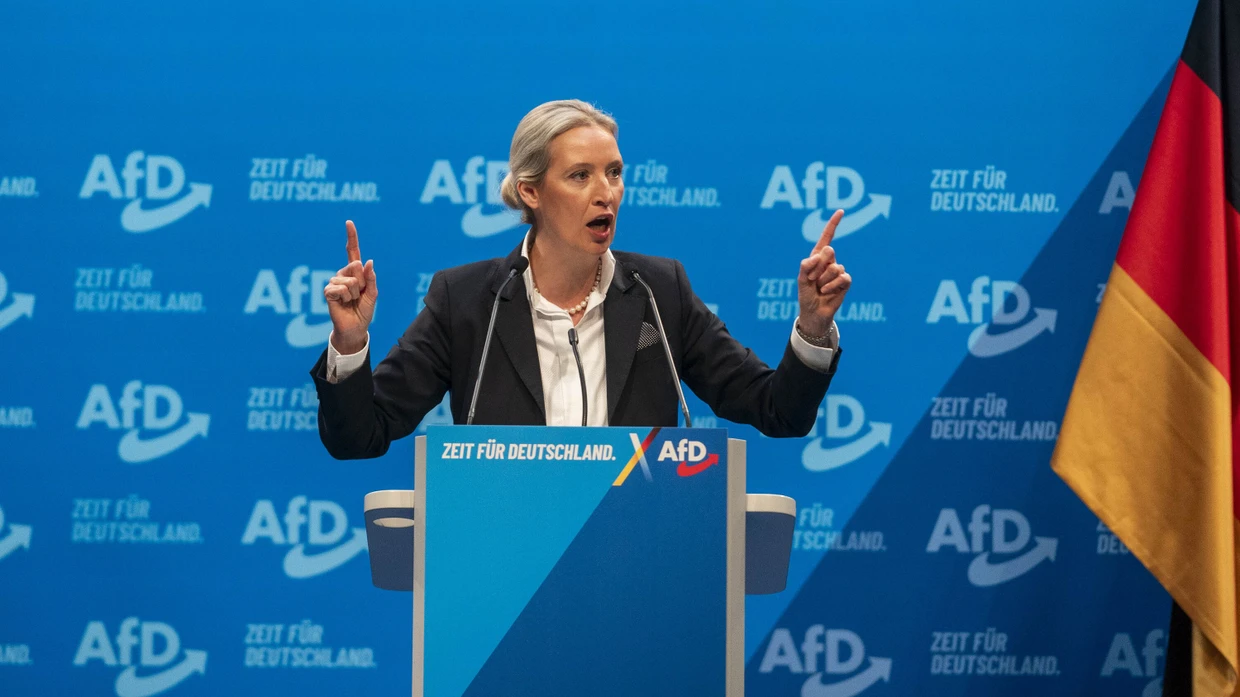 Kommentar zum Wahlkampf der AfD: Methode „Weidel Schnauze“ | FAZ