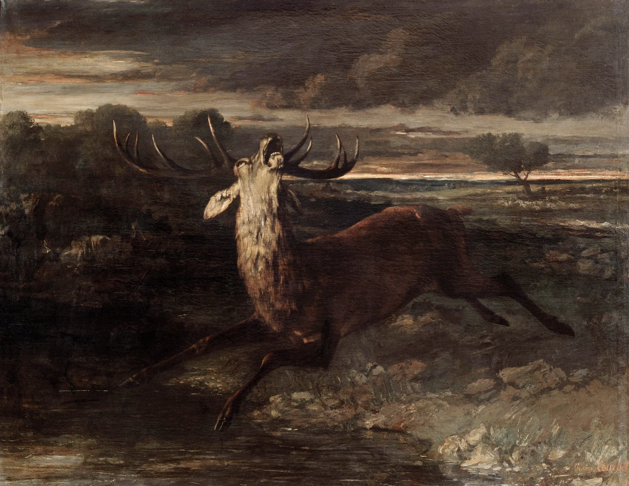  Courbets „Le Cerf à l'eau“, 1861 Foto Musée des Beaux-Arts de Marseille