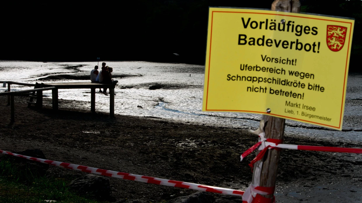 Wasserlos: Der Badesee von Markt Irsee ist zwar leer, von der Schildkröte aber fehlt weiter jede Spur.