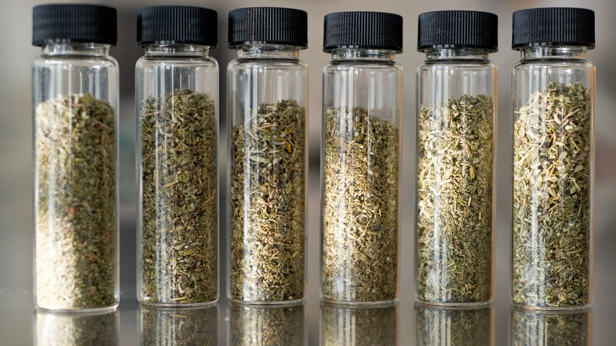 Legal Highs: Legalisierung und weit gefhrlichere Drogen | FAZ