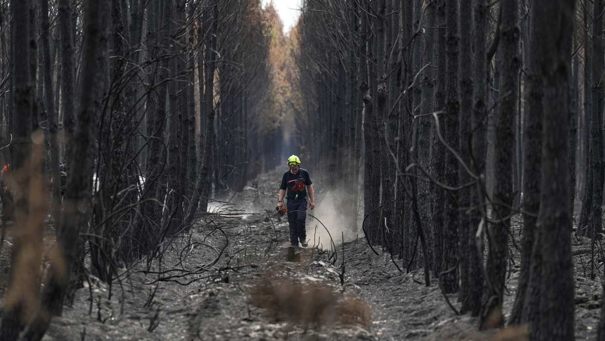 Ein Feuerwehrmann geht während der Waldbrände durch einen verkohlten Wald in der Nähe von Blagon im Südwesten Frankreichs.