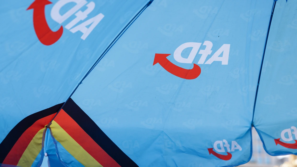 Nach dem Wahlsieg in Sachsen-Anhalt: Wie stark wird die AfD in Mecklenburg-Vorpommern?