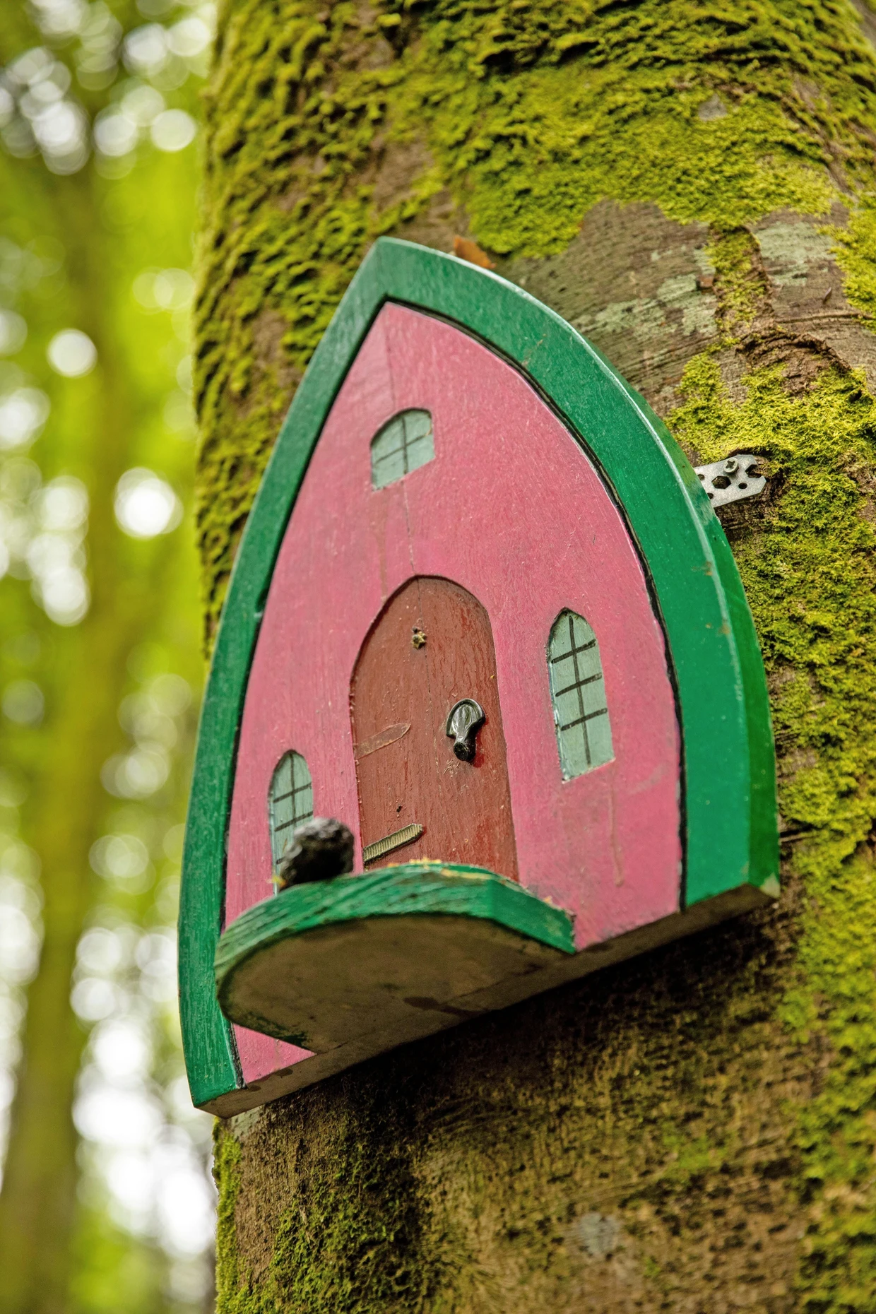 Es mejor no talar este árbol: Fairy Gate cerca del castillo de Belleek