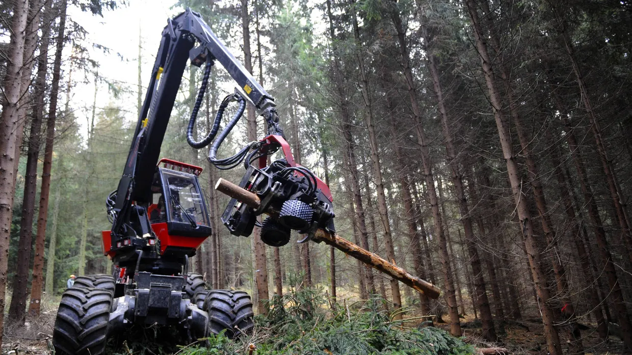 Harvester: Während der Wintermonate wird im Wald Holz geerntet.