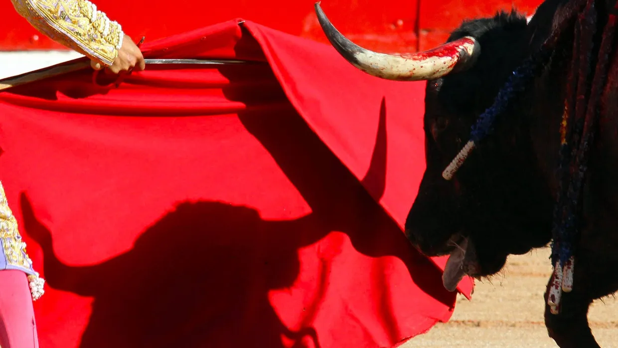 Auf Mallorca dürfen Torreros wieder Stiere töten.