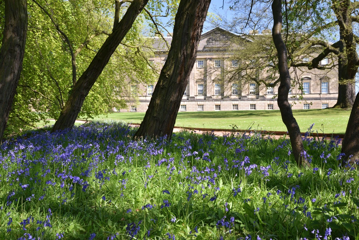 Exzentrisch in Yorkshire: Naturparadies mit Golfplatz