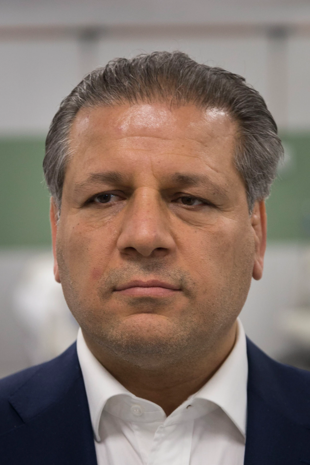 Der iranische Geschäftsmann Ali Ansari