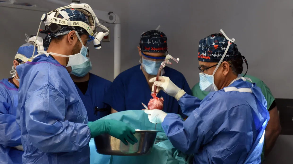 Das Transplantationsteam am University of Maryland Medical Center (UMMC) führte die Transplantation im September 2023 durch.