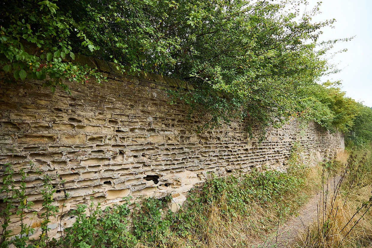 Exzentrisch in Yorkshire: Naturparadies mit Golfplatz
