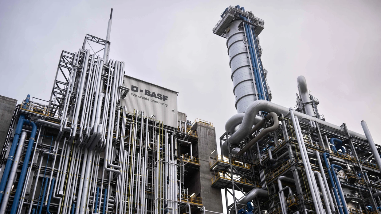 Auch wenn Chemie nicht die gefragteste Branche sein mag - die höchste Dividendenrendite bringt die BASF-Aktie.