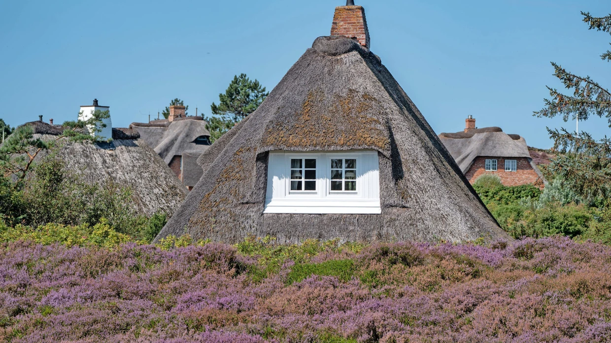 Ein reetgedecktes Haus wie hier bei List entspricht dem Sylt- Ideal vieler Käufer.