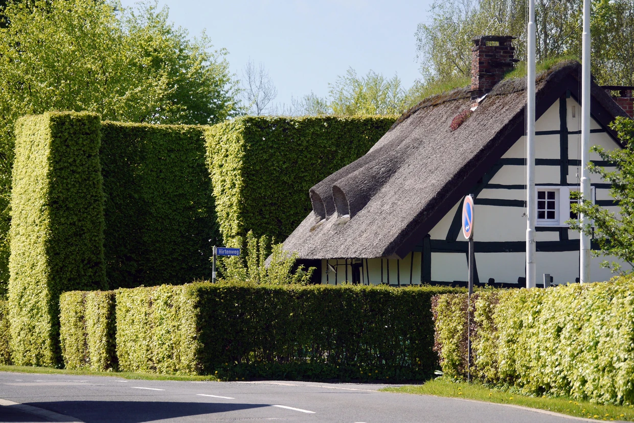 Zur Wetterseite hin ragen die Hecken hoch auf. Das schützt vor Wind und Regen.
