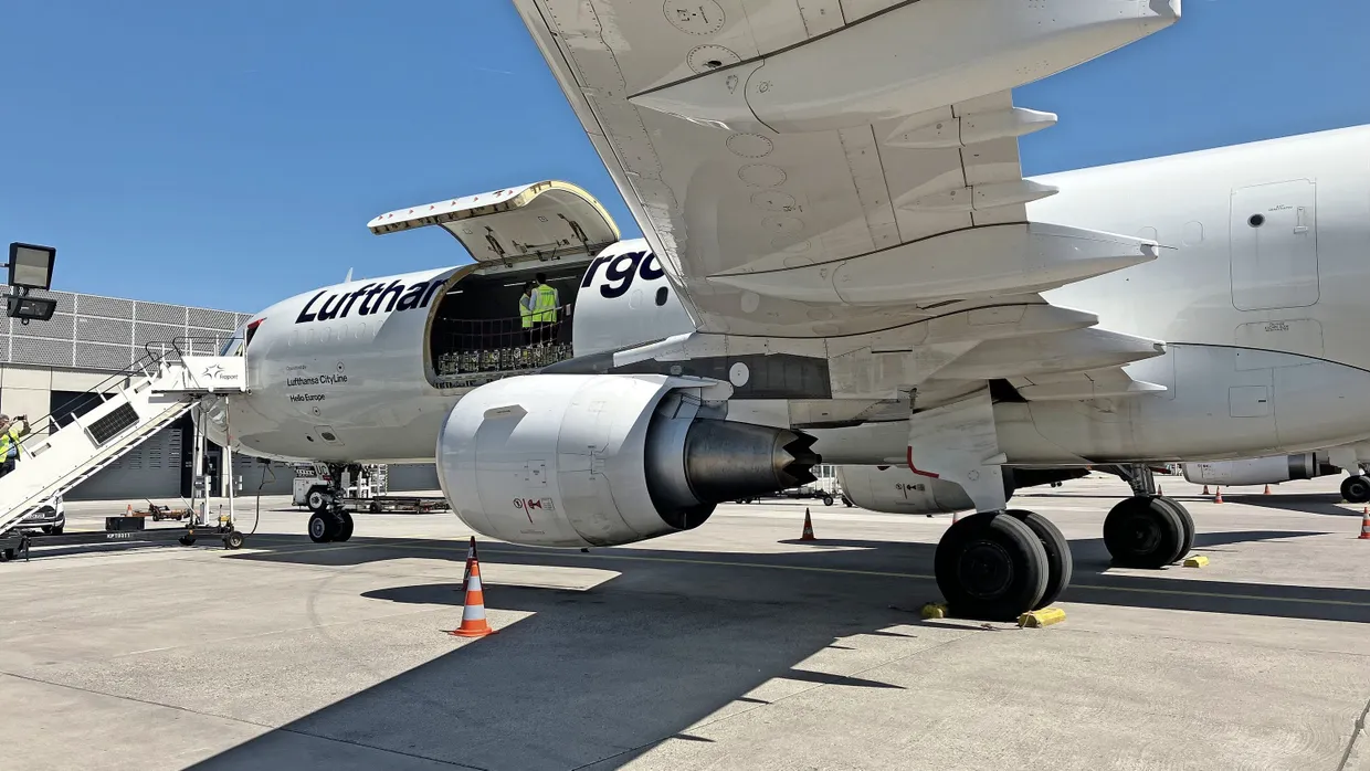 Die Frachter vom Typ A321 sind umgebaute Passagierflugzeuge.