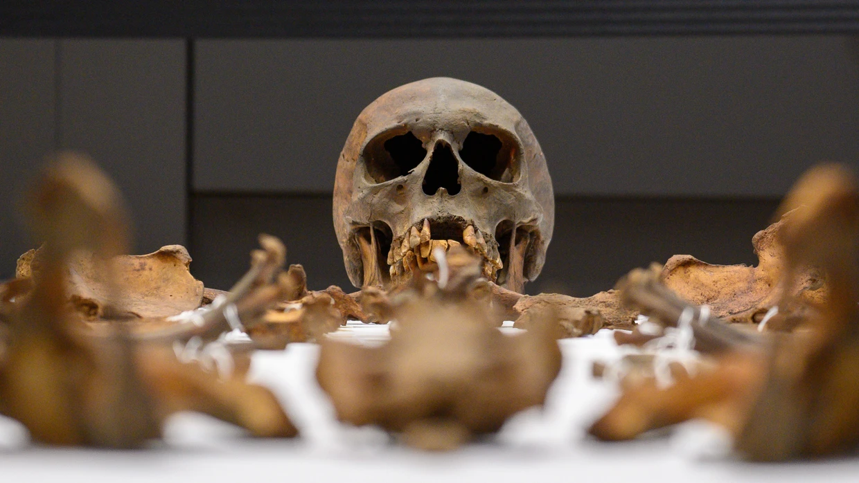 Kaiserliche Knochen: Die Gebeine Otto des Großen im Hörsaal der Universitätsmedizin Magdeburg