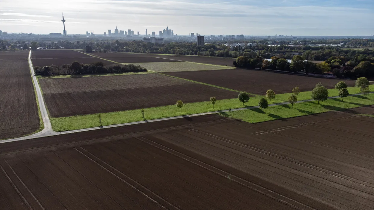 Stillstand: Dass es nur in der  Stadt Frankfurt eine politische Mehrheit für den  neuen Stadtteil an der A 5 gibt, hat auch mit Feldmanns Scheitern als Regionalpolitiker zu tun.