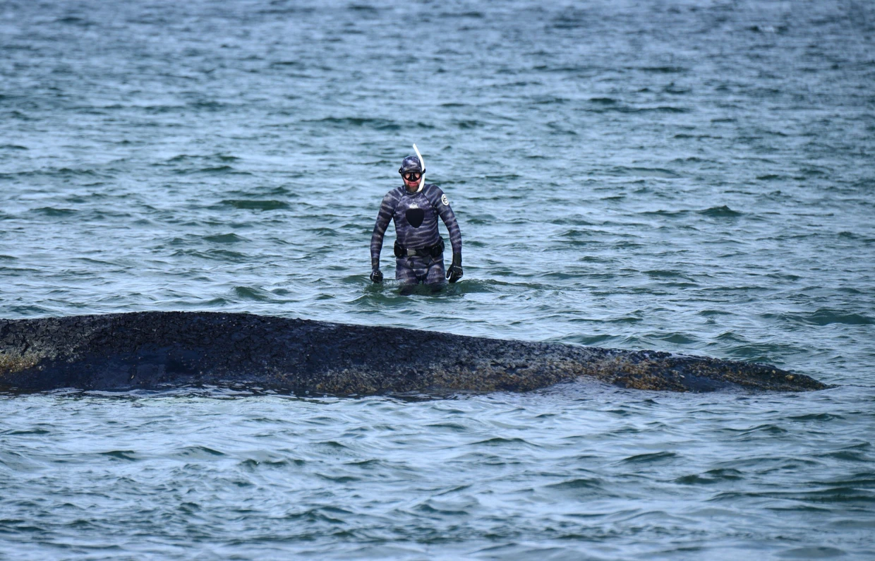 Robert Marc Lehmann am 26. März bei dem gestrandeten Wal am Timmendorfer Strand