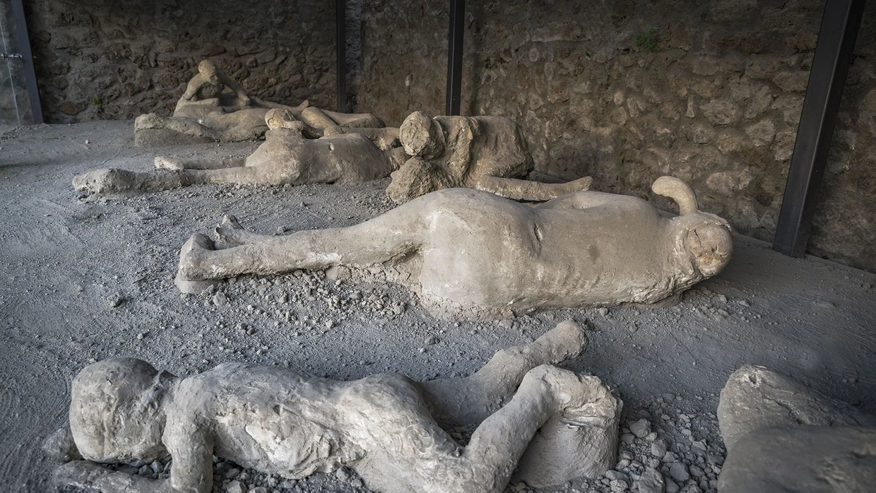  Opfer der Katastrophe, die 79 nach Christus die Stadt Pompeji vernichtete.