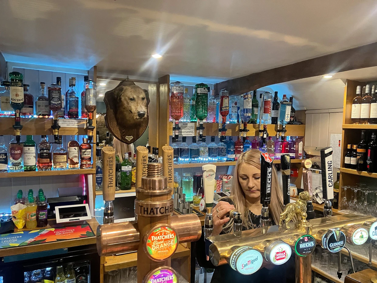 Über dem Tresen des „Dog Inn“ hängt ein Hundekopf.