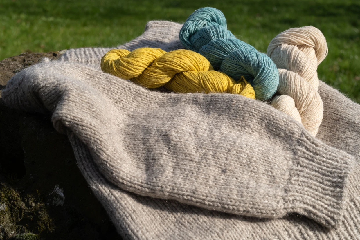 Wolle von Friederike Feld