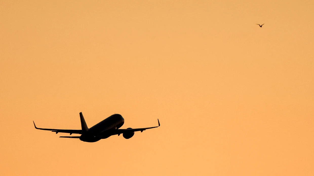 Können hohe Preise für Flugtickets durch eine von der Bundesregierung versprochene Steuersenkung vermieden werden?