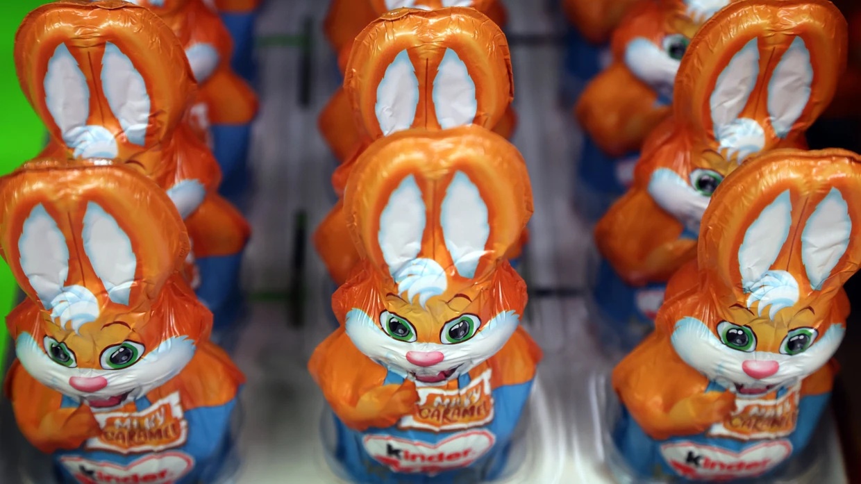 Kommen in die Torte: Schoko-Osterhasen nach dem Fest.