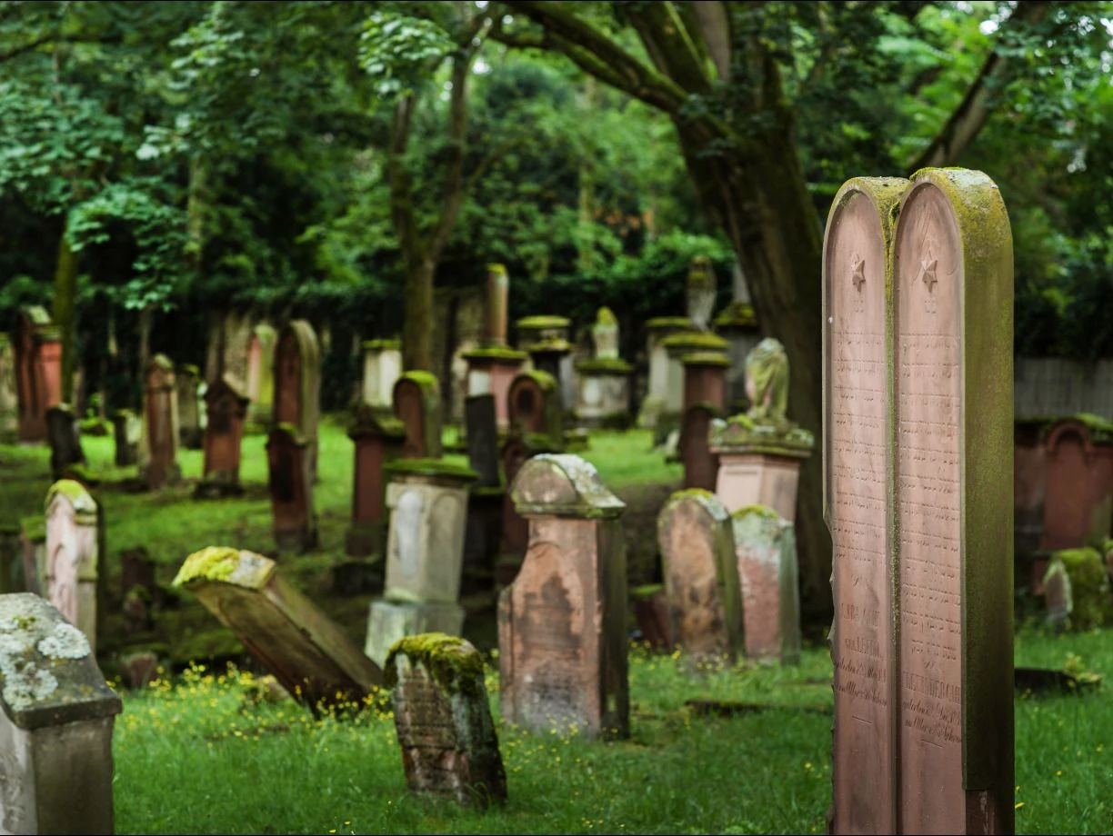 Handlungsbedarf: Von den gut 1700 Grab- und Gedenksteinen auf dem alten jüdischen Friedhof in Mainz sind längst nicht alle standsicher.