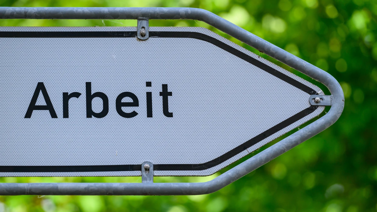 Wer weist der Bundesregierung den Weg zu mehr Beschäftigungschancen?