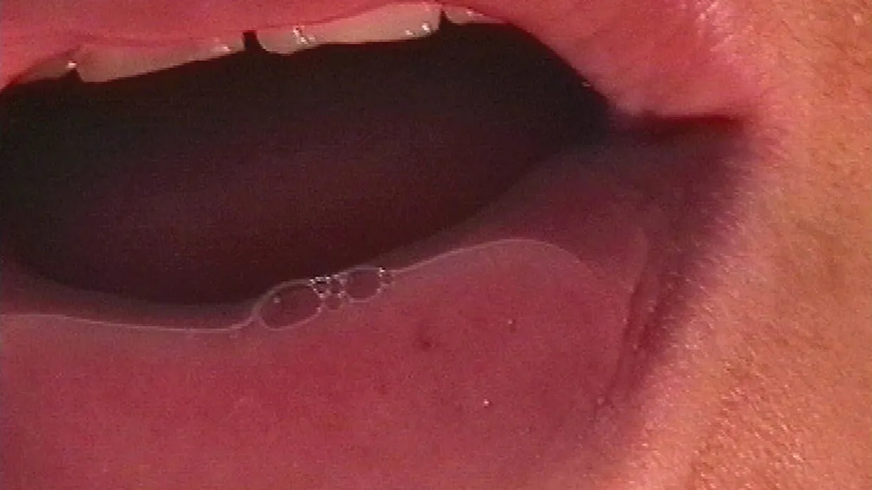 Ein Kuss als performative Praxis: Installation „Kissing Hour“ von 1996.