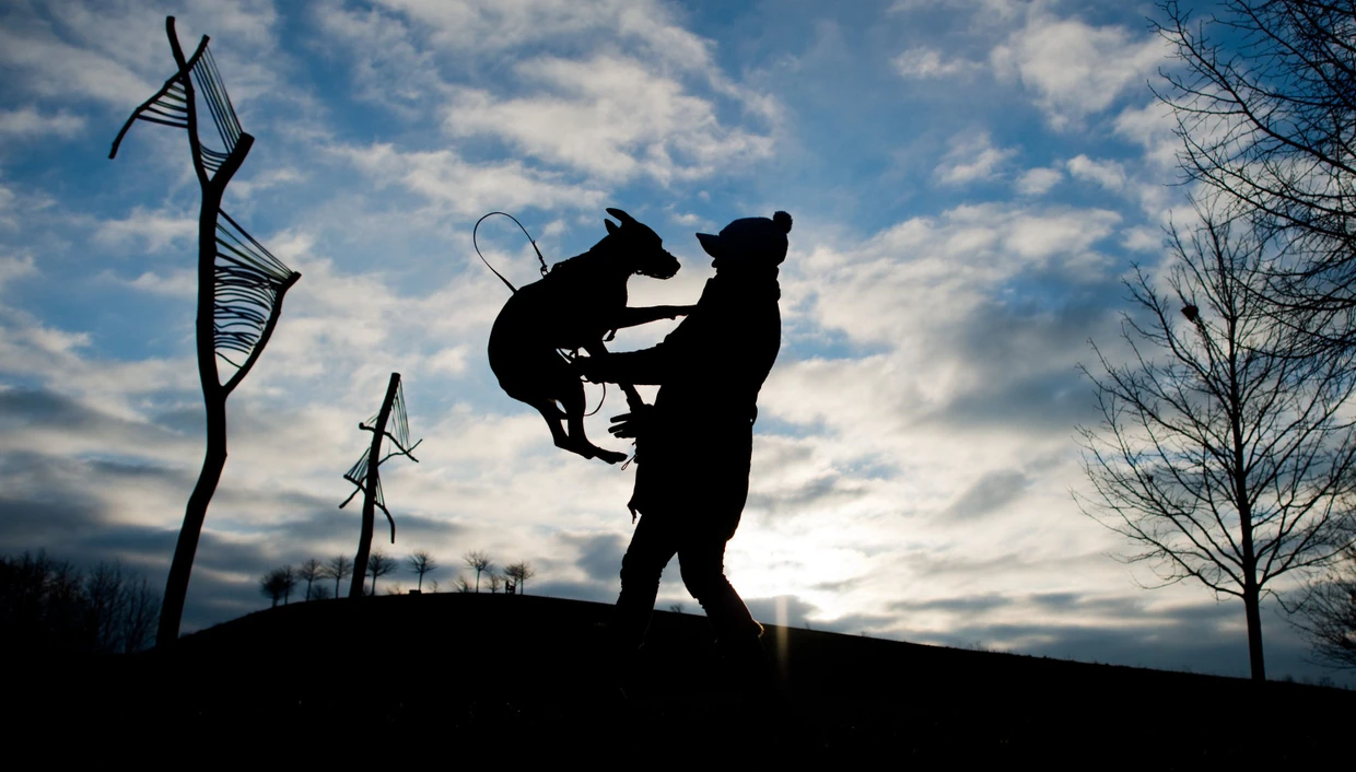Mehr Zeit zur Entspannung und fürs Haustier: Sollten deutsche Arbeitnehmer mehr oder weniger Freizeit bekommen?