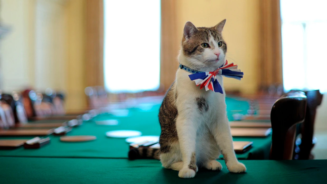 Schick gemacht: Larry trägt eine Union-Jack-Fliege zu einer Party in der Downing Street.
