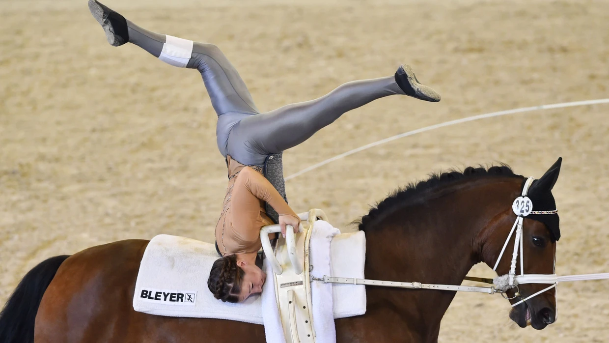 CHIO in Aachen: Darum ist Voltigieren auf dem Pferd so anspruchsvoll | FAZ CHIO in Aachen: Darum ist Voltigieren auf dem Pferd so anspruchsvoll | FAZ
