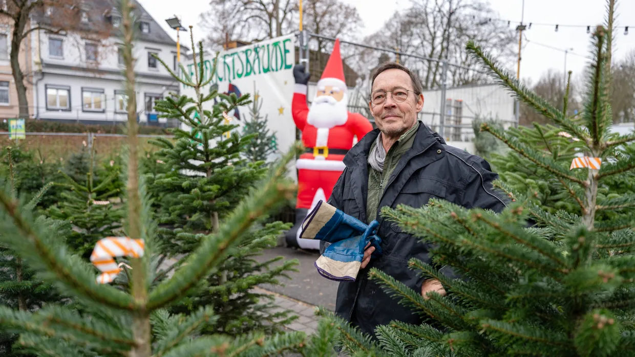 Michael Röckel verkauft seit mehr als 30 Jahren Weihnachtsbäume im Frankfurter Stadtteil Nied. Er kennt die Tricks, wie Bäume länger frisch bleiben.