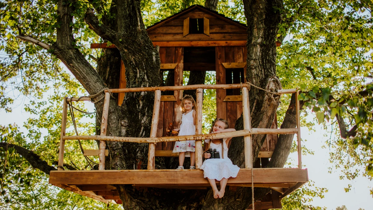 Sisters on tree house in garden
