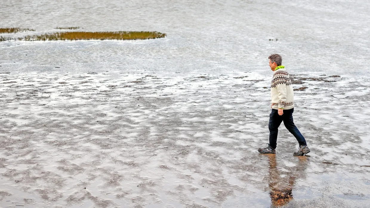 Der Weg ins Kanzleramt ist weit: Robert Habeck läuft fotogen im Meeresschutzgebiet Beltringharder Koog durch das Wattenmeer.