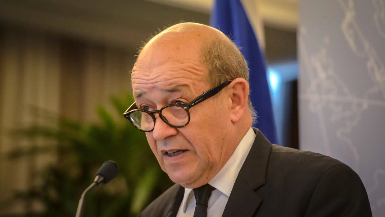 Verteidigungsminister Le Drian