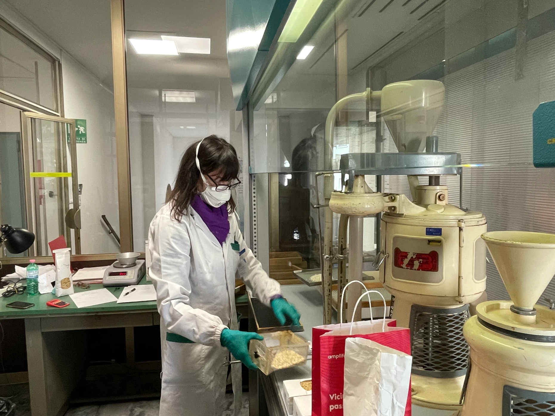 Maria Grazia Barbero in ihrem Labor in der Reisbörse in Vercelli